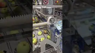 очистка 80 яблок в минуту