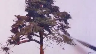 How to paint a ponderosa pine tree