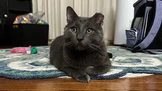 The General Relaxes