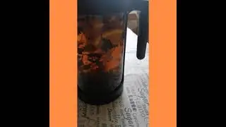 Отправить