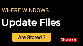 Where Windows update files are stored