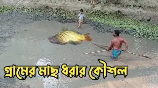 গ্রামের মাছ ধরার কৌশল
