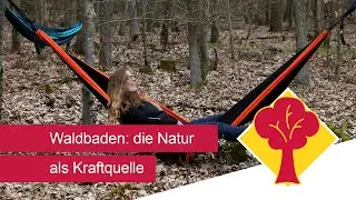 Waldbaden: die Natur als Kraftquelle