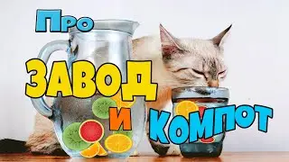 Экономическая задача ЕГЭ 2024. Консервный завод выпускает фруктовые компоты