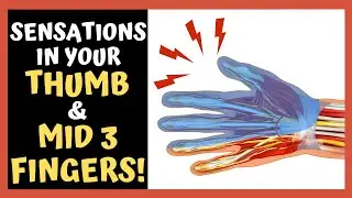 What Is Causing THE SENSATIONS In Your Thumb And Fingers!