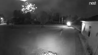 Neighbors fireworks caught on Nestcam