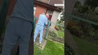 Kizaru came to visit his grandparents