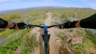 MTB | Red Mountain Rush - Hawes, Phoenix, AZ
