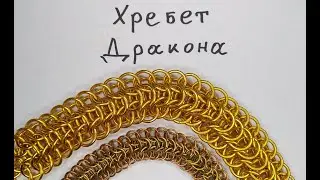 Декоративный кольчужный ошейник плетением Хребет дракона