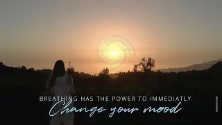 The Art of Breathing | Online sessions · ibf