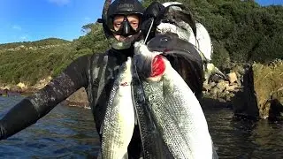 PESCA SUB UN ORA DI FUOCO IN BASSO FONDALE