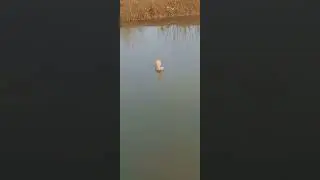 когда рыба не клюет