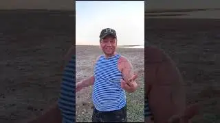 18 августа 2024 г.