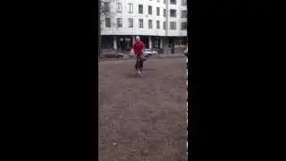 Рысь (МВ Елисей х ВД Цильма), 3 мес 10 дн