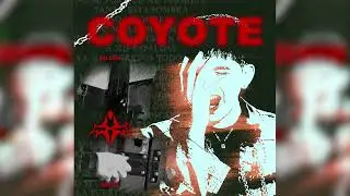 Dillom - Coyote (AXS Remix)