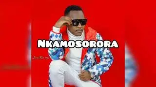 NAISANIRE KOBA PIPO - VEKTA