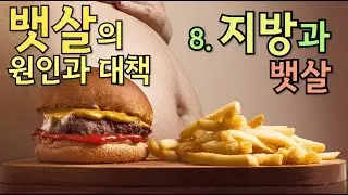뱃살의 원인과 대책 - 8. 지방과 뱃살
