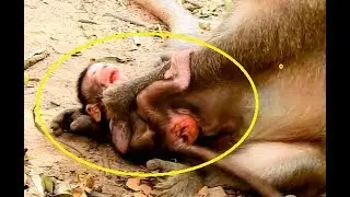 Very pity newborn baby Valentin cry&cry mom push down denied milk,Valentic cry s0 strange sound Ever