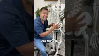 Why Does Sciatica Change Sides? #shorts