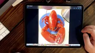 Find old pictures fast using pinch to zoom on iPad