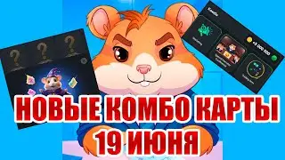 19 июня новое комбо Хамстер Комбат | 5000000 МОНЕТ HAMSTER KOMBAT ежедневные комбо карты 19.06