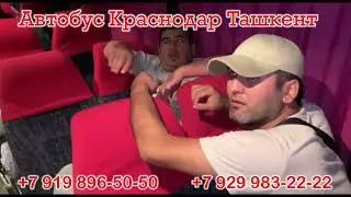 ￼ краснодар-ташкент автобус,  Краснодар Ташкент прямой рейс ￼ рейсовый автобус Ростов Ташкент
