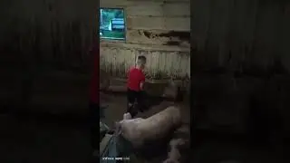 #деревня