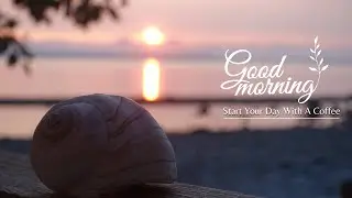 Enjoy your day 🌺| Comfortable songs to make you feel better