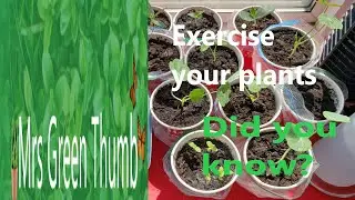 Exercise your plants.  Did you know?