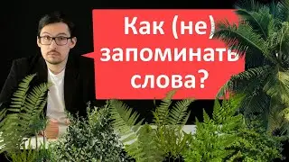 Как учить слова (не) легко?