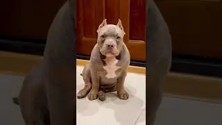 Когда-то Зевс был таким 😄❤️