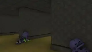 The Backrooms (Found Footage) | Minecraft Vore Animation