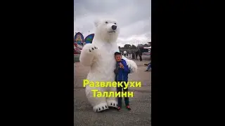 Развлекухи в Ласнамяэ, Таллин, Эстония.