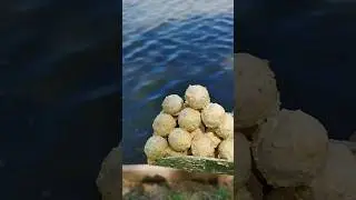 Готовим бойлы для карпа 🔥🔥🔥 #карпфишинг #carpfishing #fishing #карповаяловля #carp #shortvideo