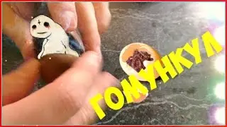 Гомункул (отвар удачи)