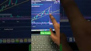 SIA Coin Dump ? | SC Coin Price Prediction | Sia Update