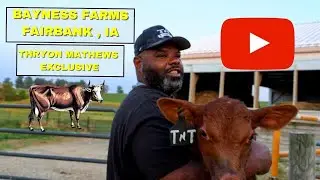 The Bayness Farms Iowa Local Beef