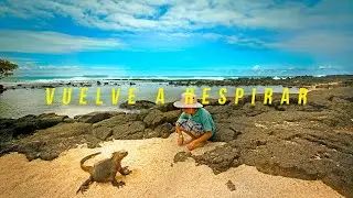 #VuelveARespirar - Galápagos te espera