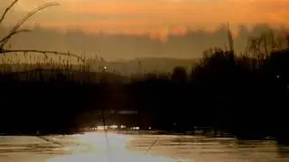 Solar Fields - Breeze HQ