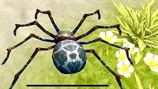A game Spider insect Monster 3D