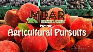 Agricultural Pursuits - Episode 1: State Apiary Program