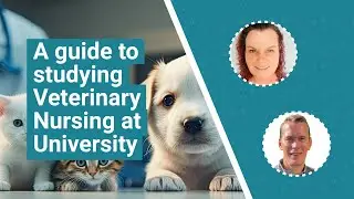 Veterinary Nursing at university - what can you expect? | UniTaster On Demand