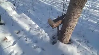 21 декабря 2023 г.