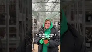 Ягоды Годжи 😳 Звучит сложно и дорого, на деле — просто и доступно!