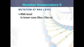 Mutation at DNA, RNA and protein level