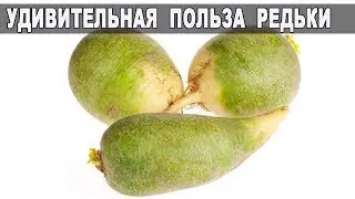 УНИКАЛЬНАЯ Польза РЕДЬКИ / ЭТО НАДО ЗНАТЬ!