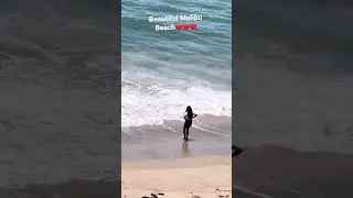 Beautiful Malibu Beach #fyp #shorts #shortvideo #malibu #beach #ocean