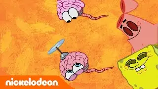 SpongeBob SquarePants | Wokkelbrein | Nickelodeon Nederlands