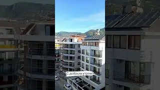 Психолог в Аланьи.
