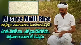 Traditional Mysore Malli Rice Health Benefits | Baparao Rice | Eagle Media Works